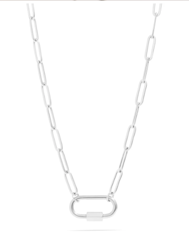 Stainless paperclip carabiner charm holder necklace