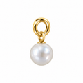Classic Pearl Charm - Gold